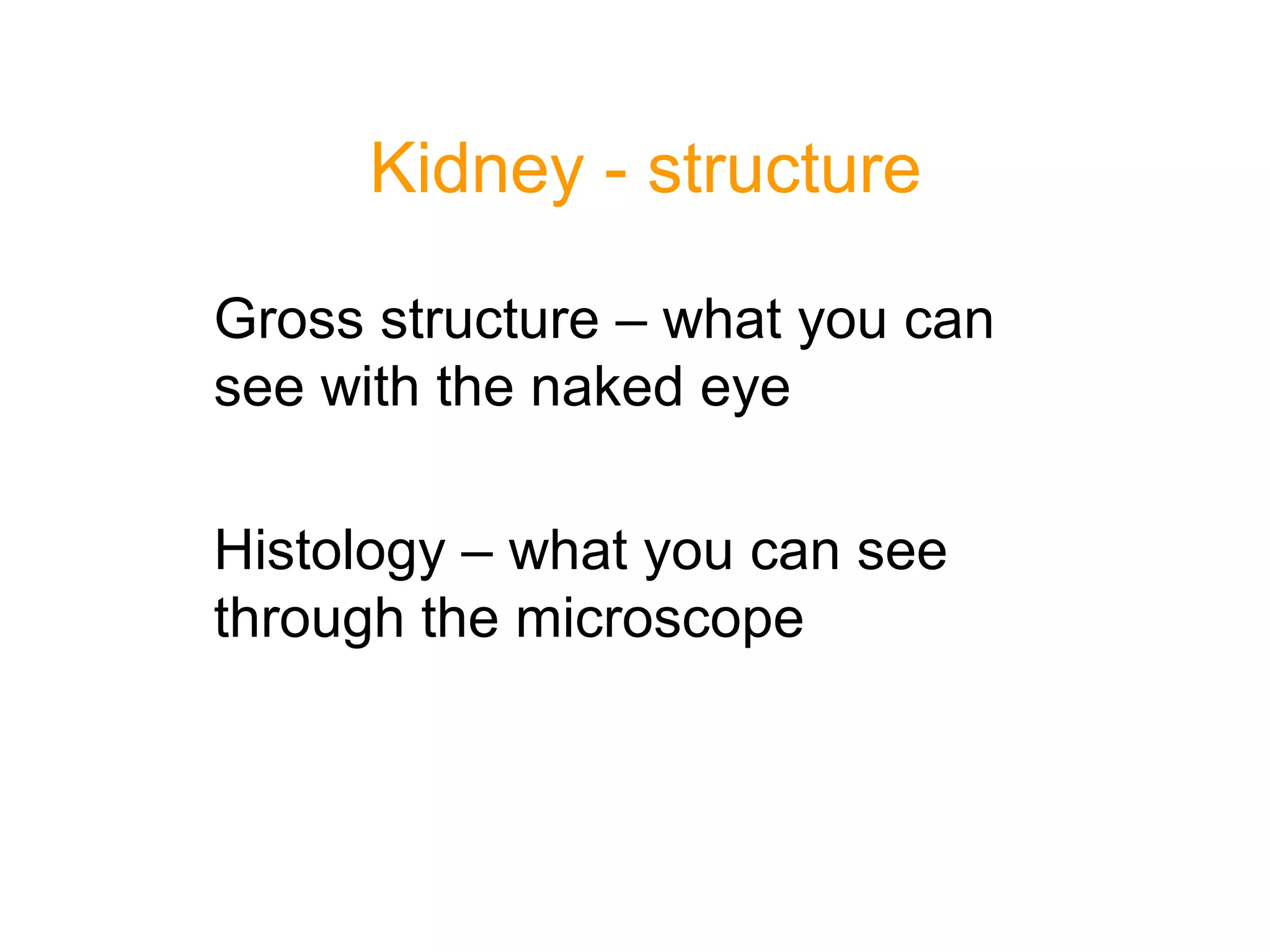 Kidney - structure
Gross structure – what you can
see with the naked eye
Histology – what you can see
through the microscope
 