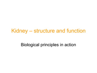 Kidney – structure and function
Biological principles in action
 