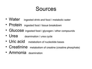 Sources
• Water ingested drink and food / metabolic water
• Protein ingested food / tissue breakdown
• Glucose ingested food / glycogen / other compounds
• Urea deamination / urea cycle
• Uric acid metabolism of nucleotide bases
• Creatinine metabolism of creatine (creatine phosphate)
• Ammonia deamination
 