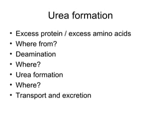 Urea formation
• Excess protein / excess amino acids
• Where from?
• Deamination
• Where?
• Urea formation
• Where?
• Transport and excretion
 