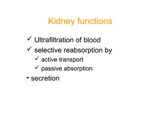 Kidney functions
 Ultrafiltration of blood
 selective reabsorption by
 active transport
 passive absorption
• secretion
 