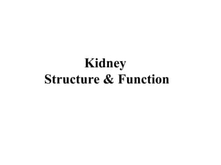 Kidney+Structure+&+Function1-2.ppt detail description of kidney | PPT