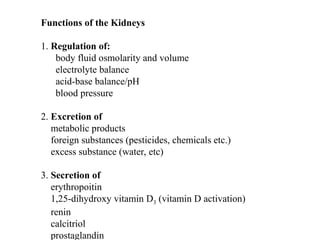 Kidney+Structure+&+Function1-2.ppt detail description of kidney | PPT