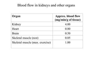 Kidney+Structure+&+Function1-2.ppt detail description of kidney | PPT