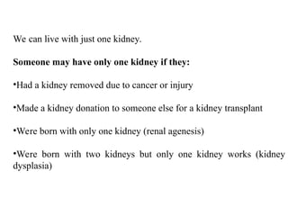Kidney+Structure+&+Function1-2.ppt detail description of kidney | PPT