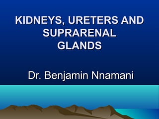 KIDNEYS, URETERS ANDKIDNEYS, URETERS AND
SUPRARENALSUPRARENAL
GLANDSGLANDS
Dr. Benjamin NnamaniDr. Benjamin Nnamani
 
