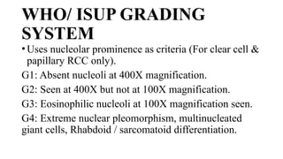 Who Rcc Grading RENAL pathology For post graduates in pathology by Dr. Nancy Gupta pptx ...
