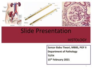 Slide Presentation
HISTOLOGY
Sansar Babu Tiwari, MBBS, PGY II
Department of Pathology
TUTH
15th February 2021
1
 