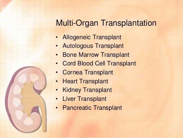 Kidney transplant cost