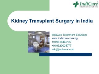 Kidney Transplant Surgery in India

                IndiCure Treatment Solutions
                www.indicure.com.ng
                +919818462127
                +919320036777
                info@indicure.com
 