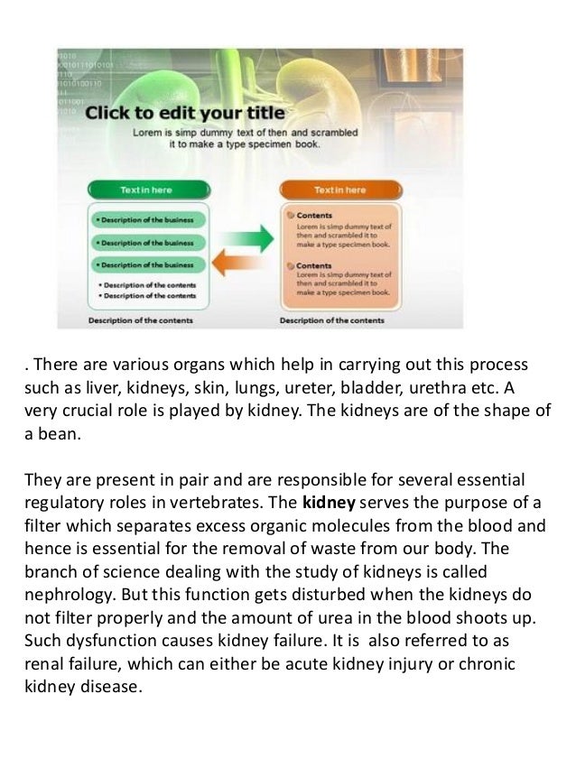 Kidney Transplant Powerpoint Templates and Slides