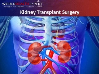 Kidney Transplant Surgery
 