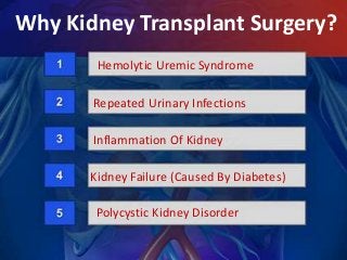 Why Kidney Transplant Surgery?
Hemolytic Uremic Syndrome
Repeated Urinary Infections
Inflammation Of Kidney
Kidney Failure (Caused By Diabetes)
Polycystic Kidney Disorder
 