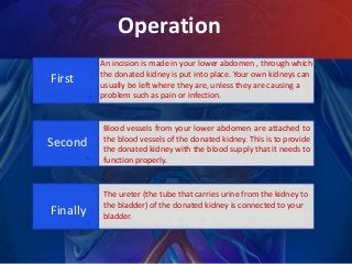 Operation
First
An incision is made in your lower abdomen , through which
the donated kidney is put into place. Your own kidneys can
usually be left where they are, unless they are causing a
problem such as pain or infection.
Second
Blood vessels from your lower abdomen are attached to
the blood vessels of the donated kidney. This is to provide
the donated kidney with the blood supply that it needs to
function properly.
Finally
The ureter (the tube that carries urine from the kidney to
the bladder) of the donated kidney is connected to your
bladder.
 
