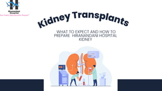 Kidney Transplants
WHAT TO EXPECT AND HOW TO
PREPARE HIRANANDANI HOSPITAL
KIDNEY
 