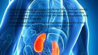 • Chromophobe renal carcinoma constitutes 5% of renal cell cancers;
they derive from collecting duct intercalated cells. Although they
exhibit multiple chromosome losses and extreme hypodiploidy, they
have an excellent prognosis
• Collecting duct (Bellini duct) carcinoma makes up only 1% of renal
cancers; this arises from medullary collecting duct cells.
 