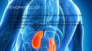 PATHOPHYSIOLOGY
• Kidney cancer originates in the kidney in two principal locations: the
renal tubule and the renal pelvis.
• Most cancers in the renal tubule are renal cell carcinoma and clear
cell adenocarcinoma. Most cancers in the renal pelvis are transitional
cell carcinoma.
 