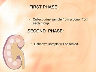 FIRST PHASE:

• Collect urine sample from a donor from
  each group

SECOND PHASE:

 • Unknown sample will be tested
 