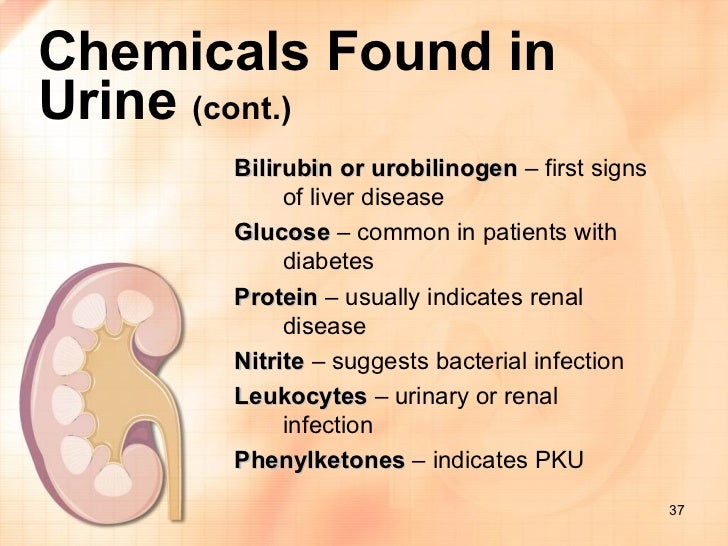 Kidney urine