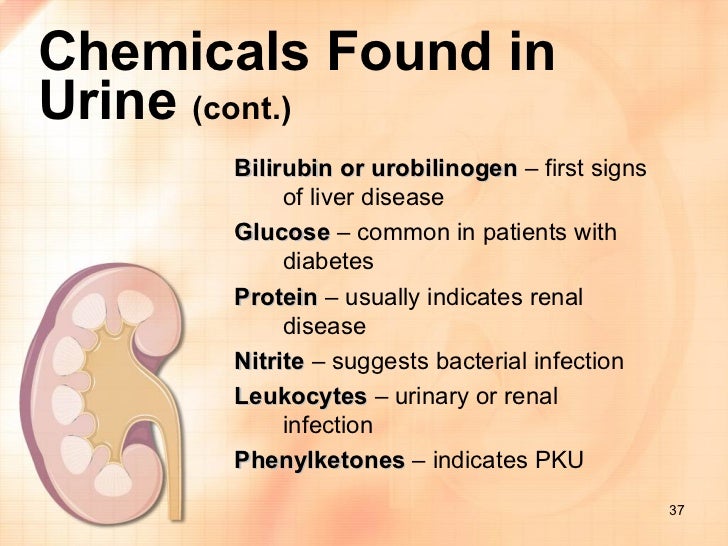 blood test 38 sugar urine Kidney blood test 38 sugar urine Kidney