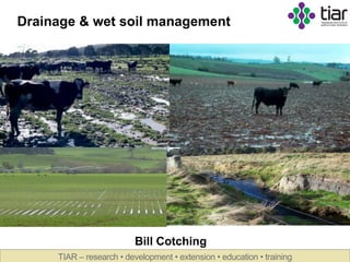 TIAR – research • development • extension • education • training
Drainage & wet soil management
Bill Cotching
 