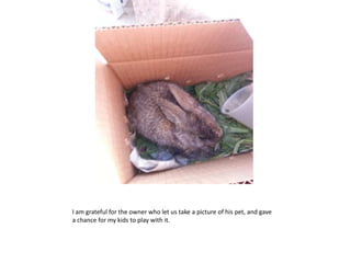 I am grateful for the owner who let us take a picture of his pet, and gave
a chance for my kids to play with it.
 