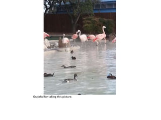 Grateful for taking this picture.
 