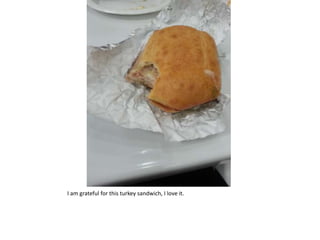 I am grateful for this turkey sandwich, I love it.
 