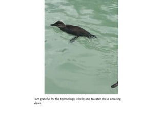 I am grateful for the technology, it helps me to catch these amazing
views.
 