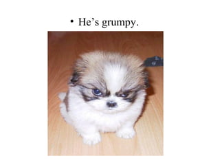 • He’s grumpy.
 