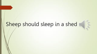 Sheep should sleep in a shed
 