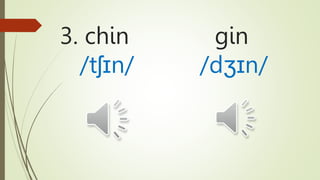3. chin gin
/tʃɪn/ /dʒɪn/
 