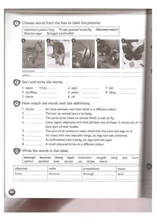 Kid's box   activity book 5