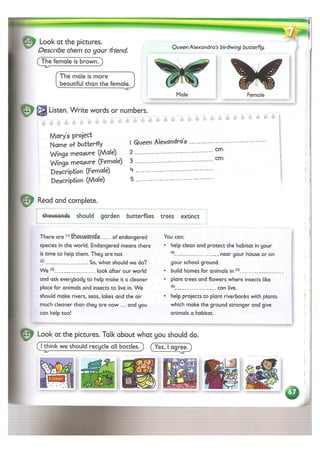 Kid's box   student's book 5