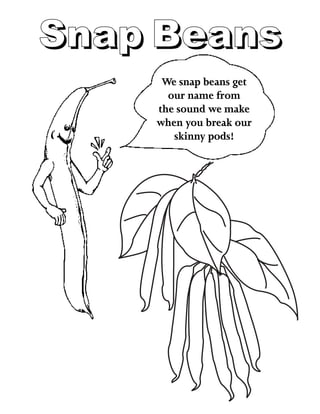 Snap BeansSnap Beans
We snap beans get
our name from
the sound we make
when you break our
skinny pods!
 