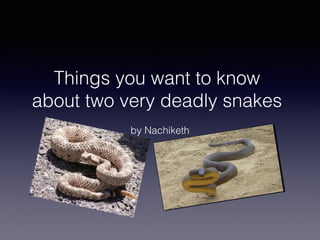Things you want to know
about two very deadly snakes
by Nachiketh
 