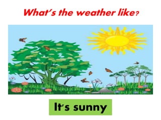 It's sunny
What’s the weather like?
 