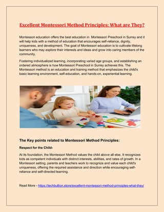 Excellent Montessori Method Principles: What are They? | PDF
