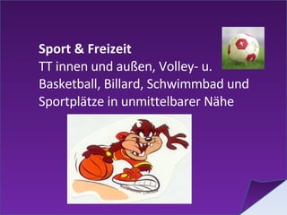 Sport & Freizeit TT innen und außen, Volley- u. Basketball, Billard, Schwimmbad und Sportplätze in unmittelbarer Nähe 