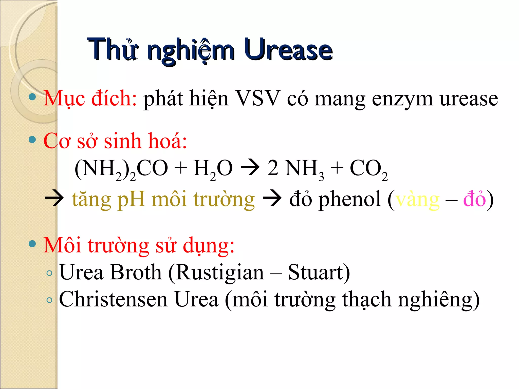 Kiem Nghiem Vi Sinh Vat (part1) | PPT