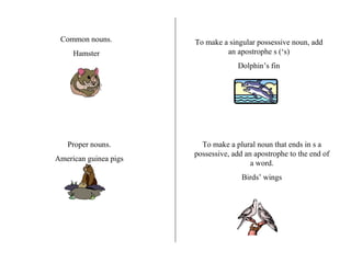 Common nouns. Hamster Proper nouns. American guinea pigs To make a singular possessive noun, add an apostrophe s (‘s) Dolphin’s fin To make a plural noun that ends in s a possessive, add an apostrophe to the end of a word. Birds’ wings 