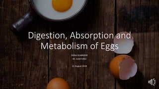 Digestion, Absorption and
Metabolism of Eggs
KIERA SEABROOK
ID: 110271952
11 August 2019
 