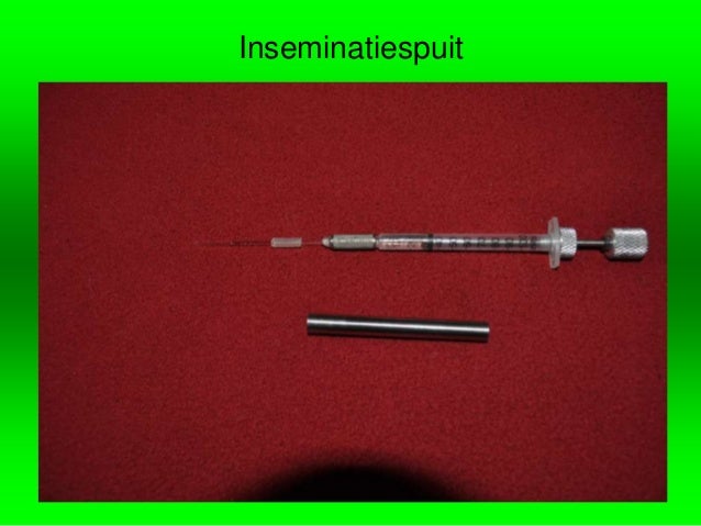 Kunstmatige Inseminatie