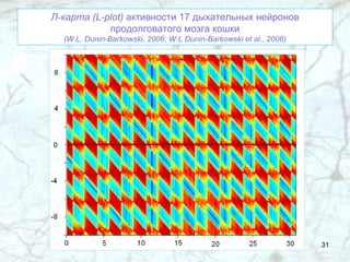 Л-карта ( L-plot)  активности 17 дыхательных нейронов продолговатого мозга кошки (W.L. Dunin-Barkowski, 2006; W.L Dunin-Barkowski et al., 2006) 