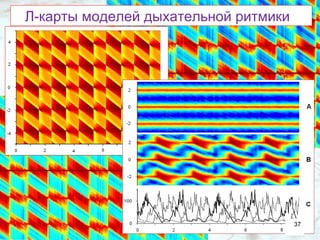 Л-карты моделей дыхательной ритмики  