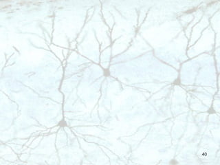 Elements of Theory for Multi-Neuronal Systems