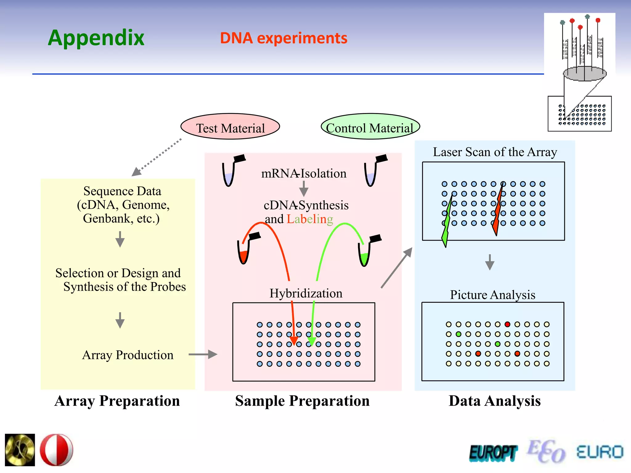 discrete stateContinuous time Markov chain.