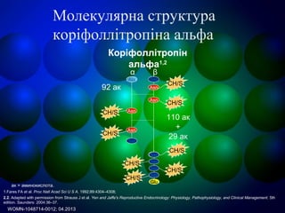 Молекулярна структура
коріфоллітропіна альфа
Ala
Asn
Ser
Asn
Ser
Asn
Asn
Ser
CH/S
CH/S
CH/S
CH/S
α β
CH/S
CH/S
CH/S
CH/S
Ser
Ser
Ser
Ser
Glu
Коріфоллітропін
альфа1,2
92 ак
110 ак
+
29 ак
ак = аминокислота.
1.Fares FA et al. Proc Natl Acad Sci U S A. 1992;89:4304–4308;
2.2. Adapted with permission from Strauss J et al. Yen and Jaffe's Reproductive Endocrinology: Physiology, Pathophysiology, and Clinical Management. 5th
edition. Saunders: 2004:36–37.
WOMN-1048714-0012; 04.2013
 