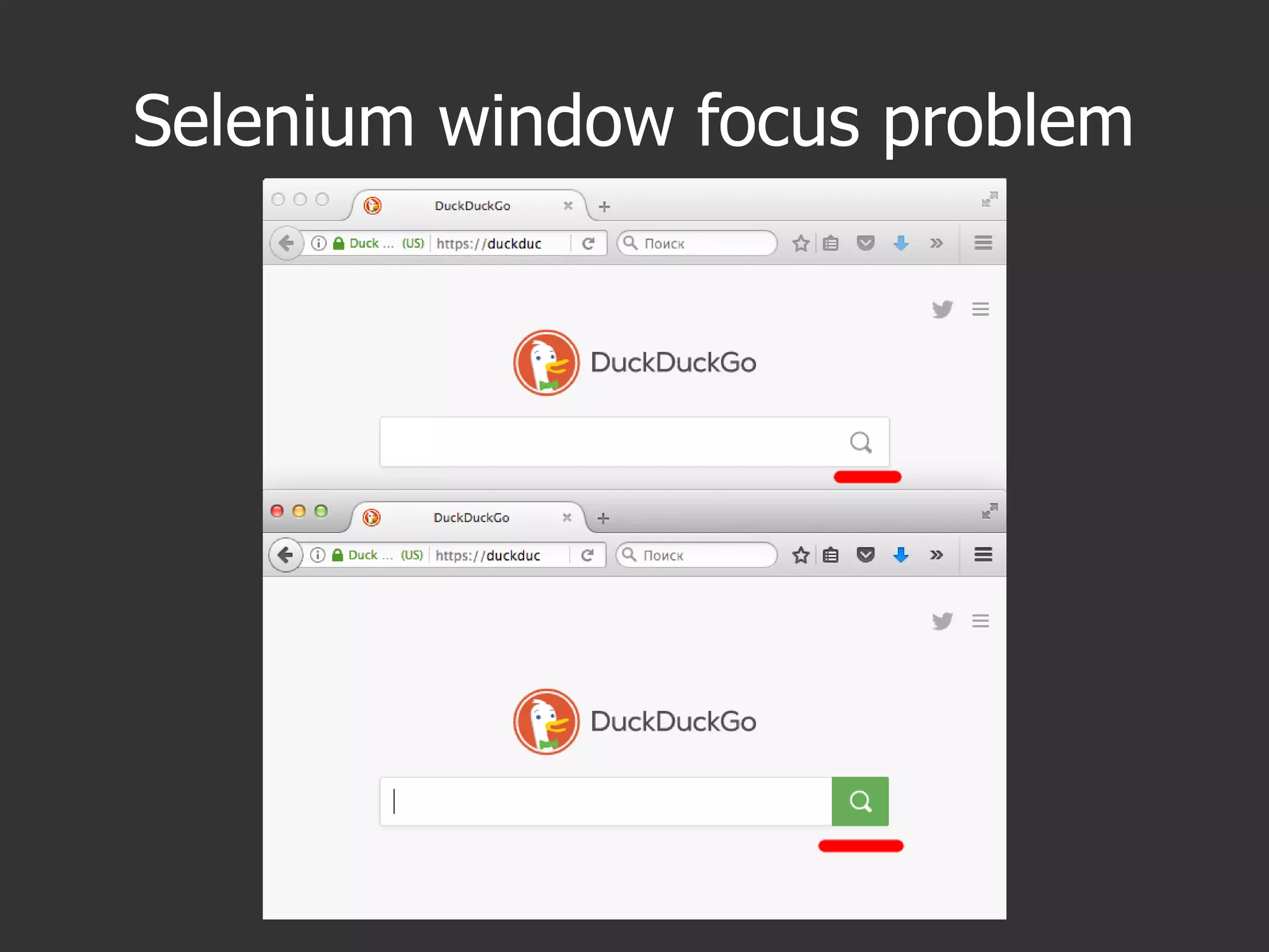 Selenium window focus problem
 