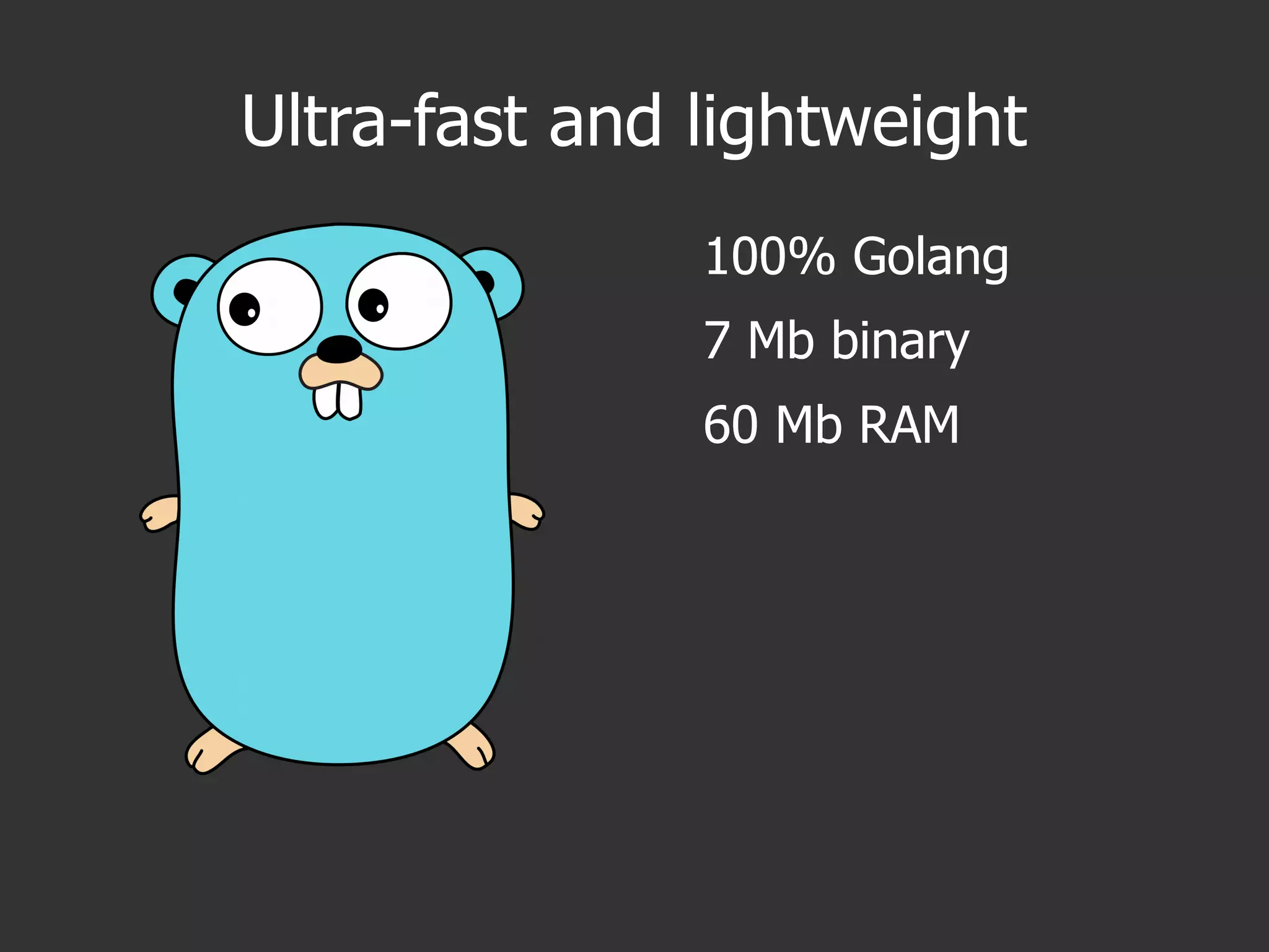 Ultra-fast and lightweight
100% Golang
7 Mb binary
60 Mb RAM
 
